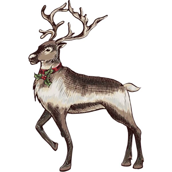 reindeer 1 Thumbnail