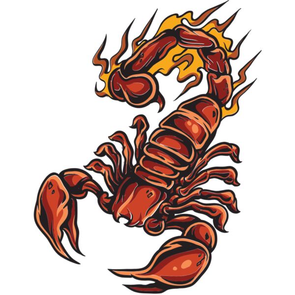 scorpion 4 Thumbnail