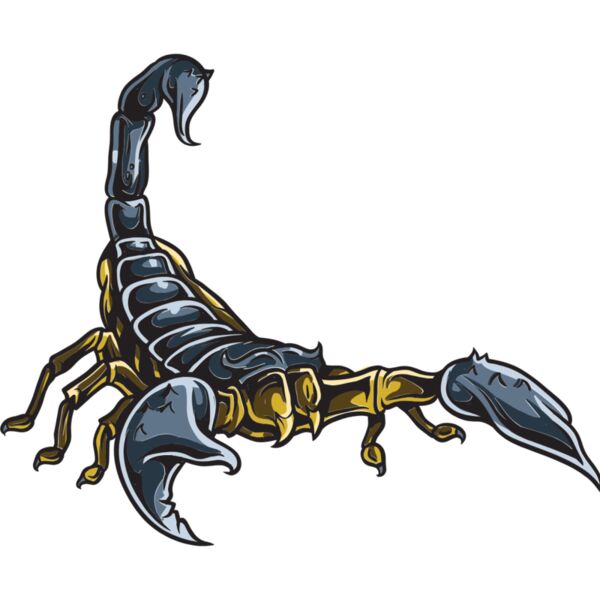 scorpion 3 Thumbnail