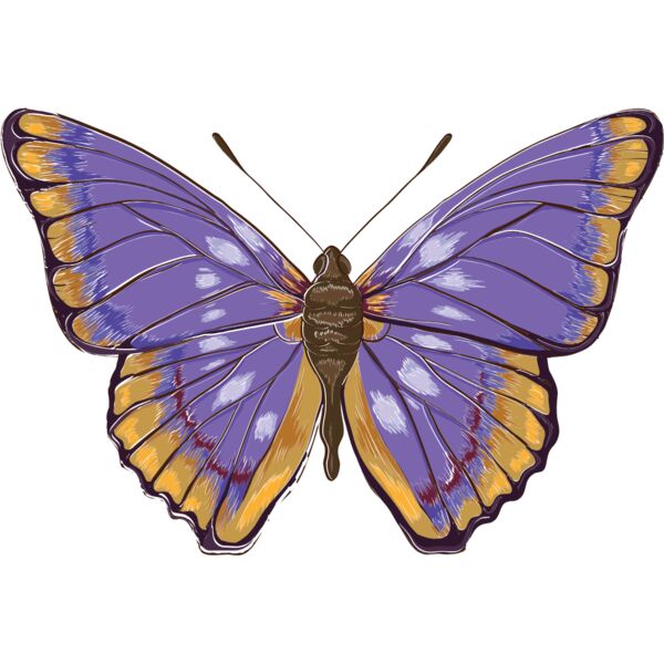 butterfly 2 Thumbnail