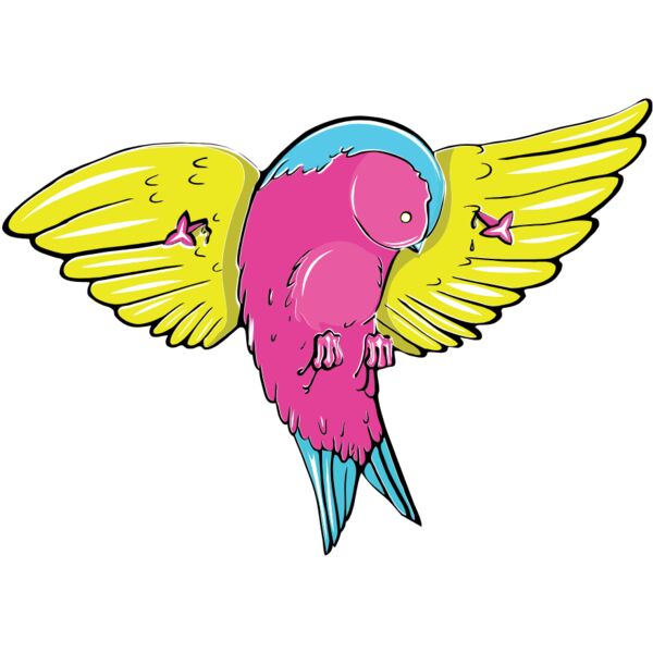 colorful birds 6 Thumbnail