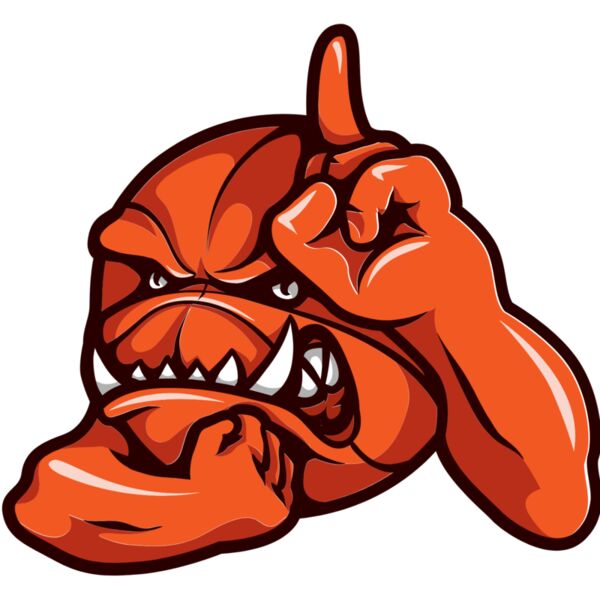 mascot 51 basketball Thumbnail