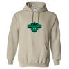 Heavy Blend™ Hooded Sweatshirt Thumbnail