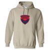 Heavy Blend™ Hooded Sweatshirt Thumbnail
