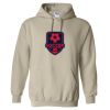 Heavy Blend™ Hooded Sweatshirt Thumbnail