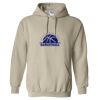 Heavy Blend™ Hooded Sweatshirt Thumbnail