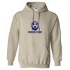 Heavy Blend™ Hooded Sweatshirt Thumbnail