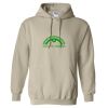 Heavy Blend™ Hooded Sweatshirt Thumbnail